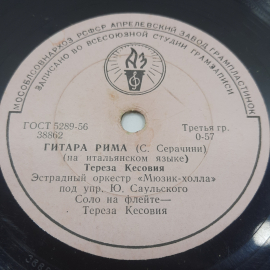 Тереза Кесовия "Мы", "Гитара рима" . Картинка 2